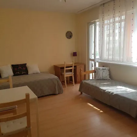 Cozy And Bright Studio Flat Lauta Apartment *
